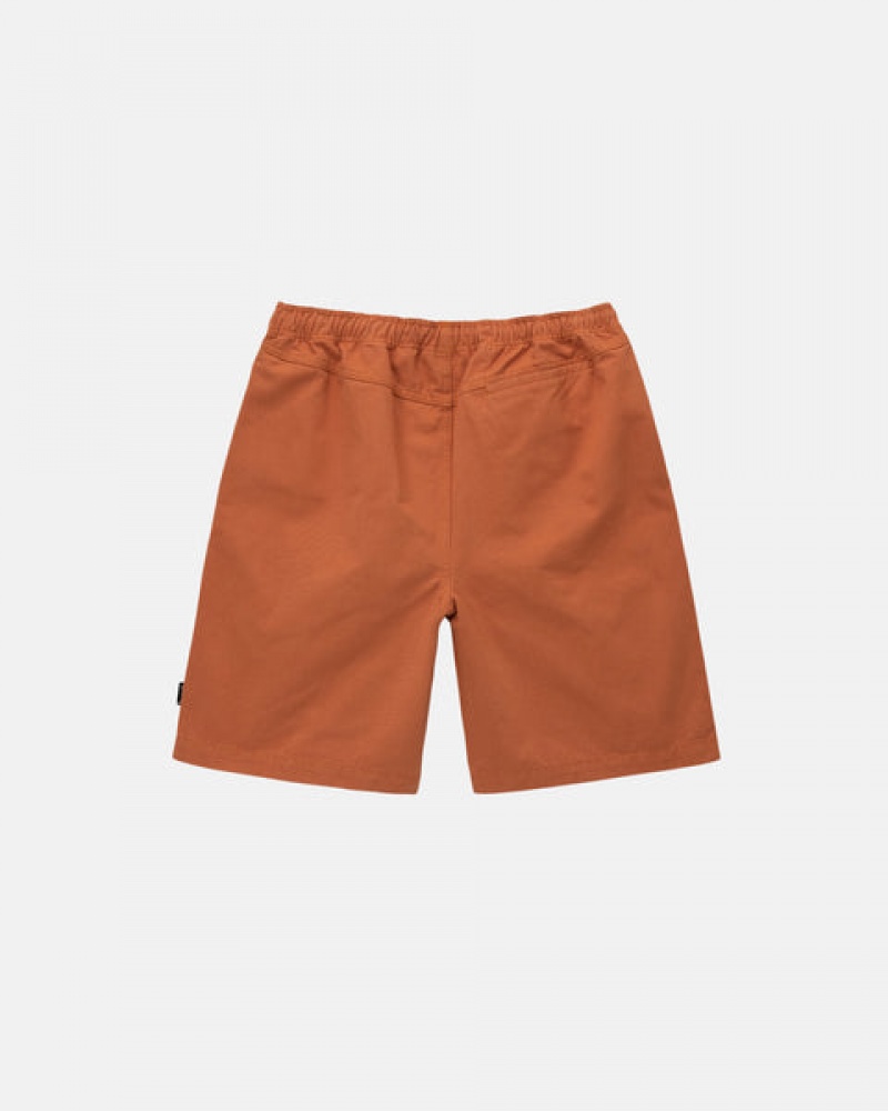 Brown Men's Stussy Brushed Beach Shorts KSA | TBX-1639