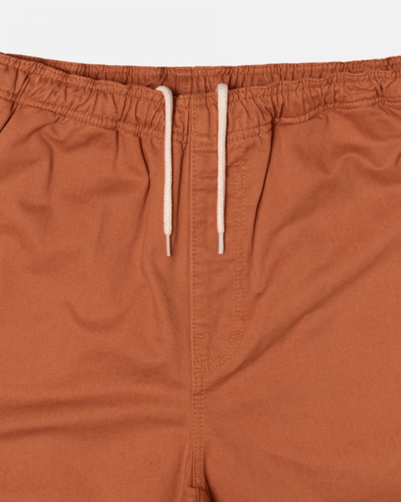 Brown Men's Stussy Brushed Beach Shorts KSA | TBX-1639