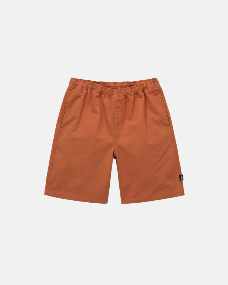 Brown Men\'s Stussy Brushed Beach Shorts KSA | TBX-1639