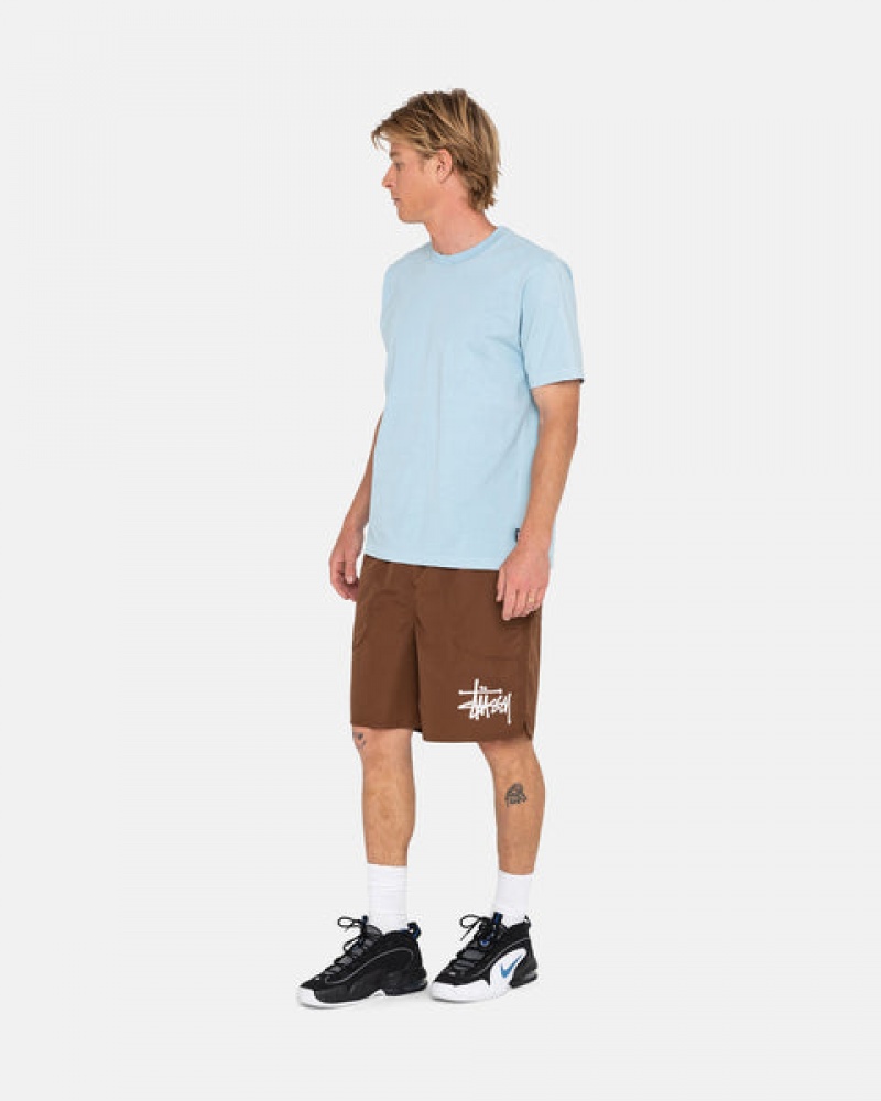 Coffee Men's Stussy Big Basic Water Short Swimwear KSA | HWB-6469