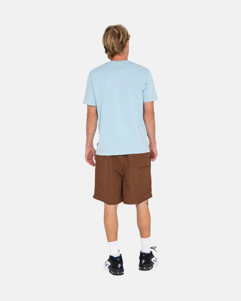 Coffee Men's Stussy Big Basic Water Short Swimwear KSA | HWB-6469