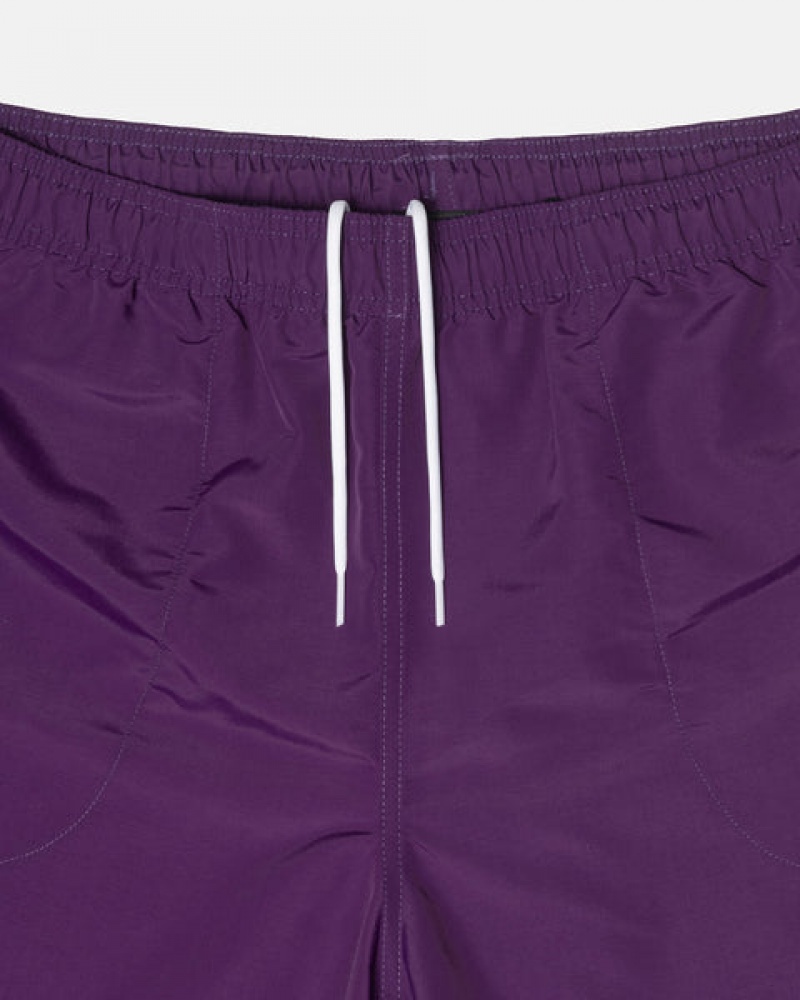 Fuchsia Men's Stussy Big Basic Water Short Swimwear KSA | WUJ-8373