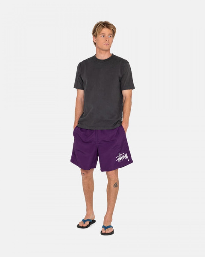 Fuchsia Men's Stussy Big Basic Water Short Swimwear KSA | WUJ-8373