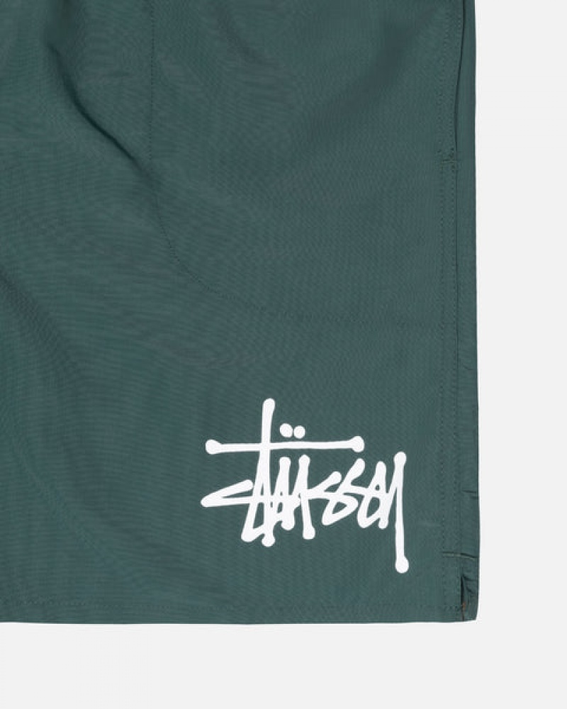 Green Women's Stussy Big Basic Water Short Swimwear KSA | EEA-4561