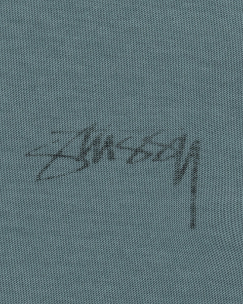 Turquoise Men's Stussy Lazy Ls Tees KSA | IEA-6267