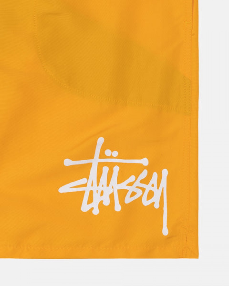 Yellow Men's Stussy Big Basic Water Short Swimwear KSA | YIE-8830